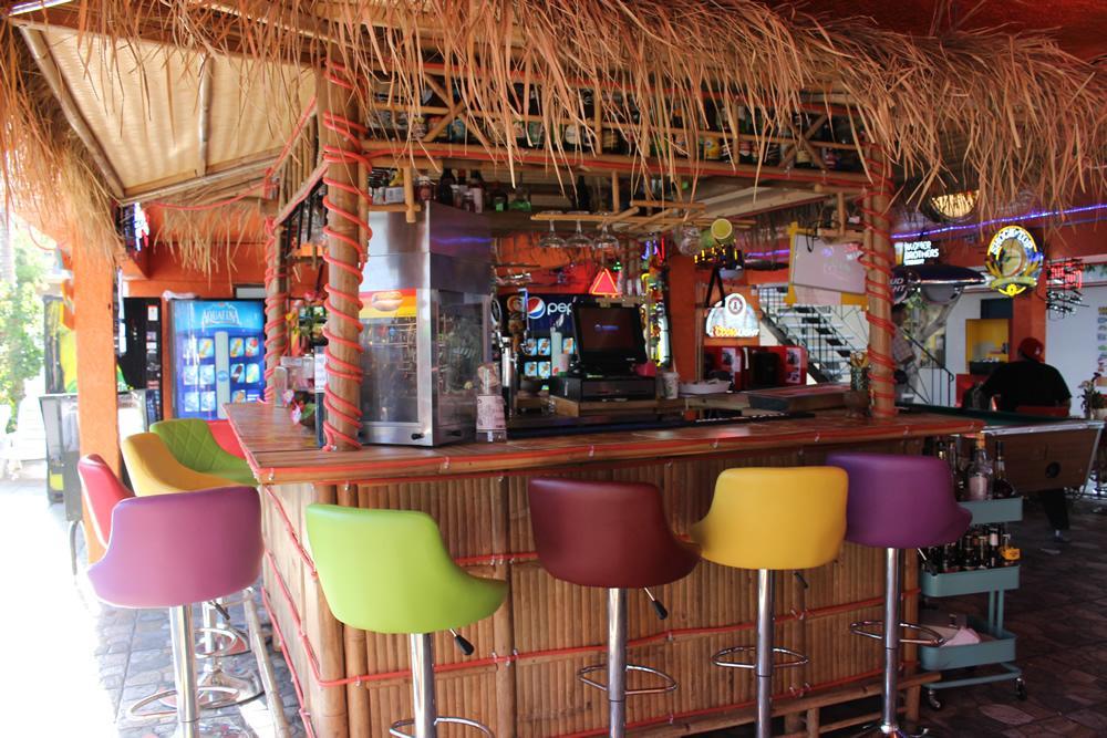 แบคแพคเกอร์ พาราไดซ์ Hostel อิงเกิลวูด ภายนอก รูปภาพ
