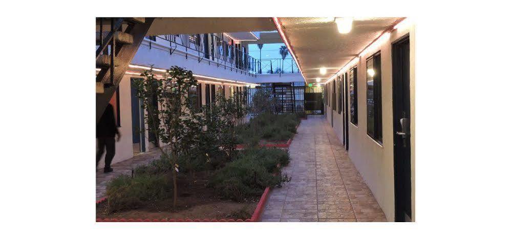 แบคแพคเกอร์ พาราไดซ์ Hostel อิงเกิลวูด ภายนอก รูปภาพ